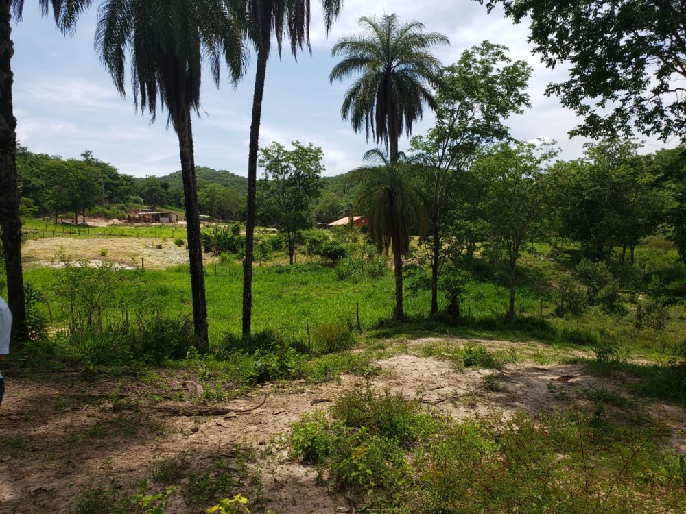 Rural - Venda - Rural - Inhama - MG